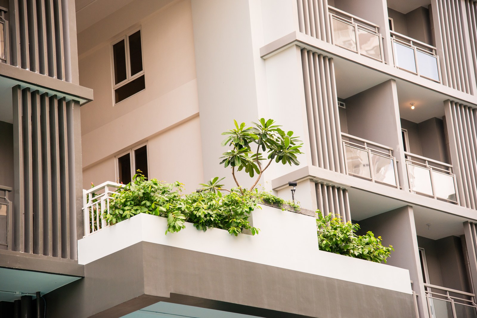 The Oriana by DMCI Homes — Modern Tropical twin-tower facade in daylight, Quezon City